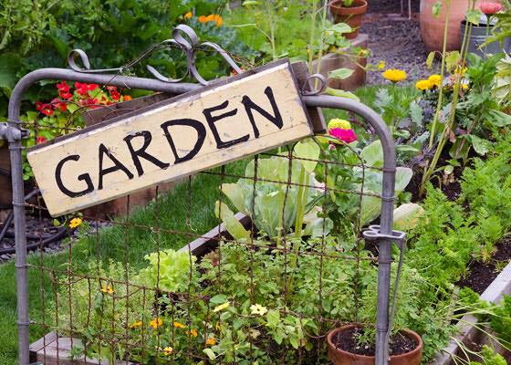 Community Garden space is available at the Fern Ridge Service Center in Veneta, Oregon!